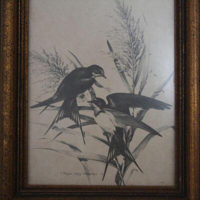 Lot #138: Roger Tory Peterson Bird Printed Framed Art