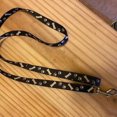 Dog brush and leash