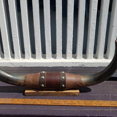 Cow horns ready to hang