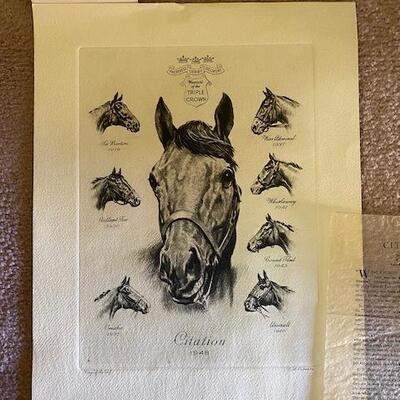 2 Horse prints