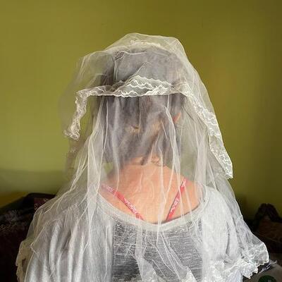 Vintage Veil with lace detail