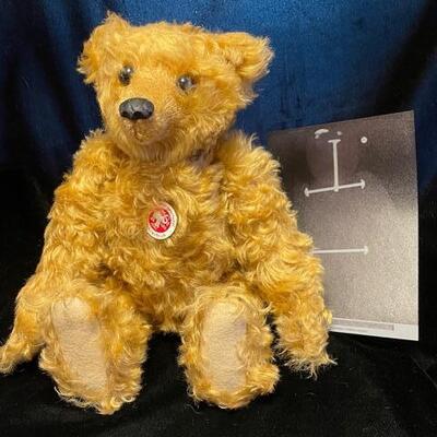 1904 on teddy bear with x ray 