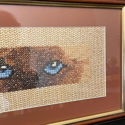 Cat Eye Cross Stitched Framed Picture