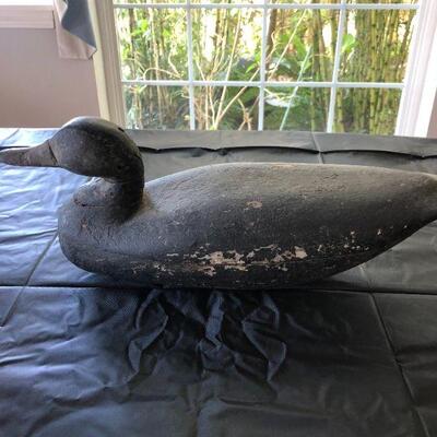 Antique Wood Decoy Duck with Black Body and Yellow Beak Bill
