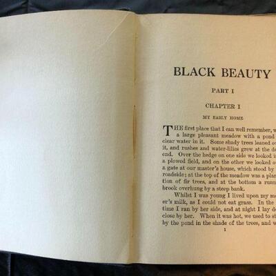 Antique Black Beauty Anna Sewell Washington Square Classics Book 