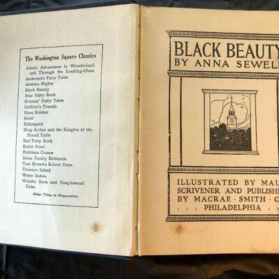 Antique Black Beauty Anna Sewell Washington Square Classics Book 