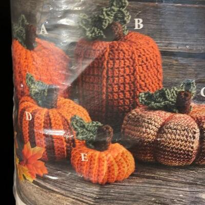 Fall Decor and Crochet Kit