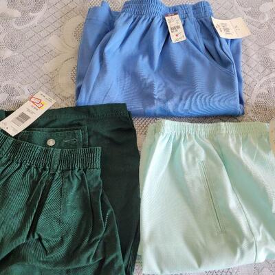 Lot 12: (3) New Ladies Shorts