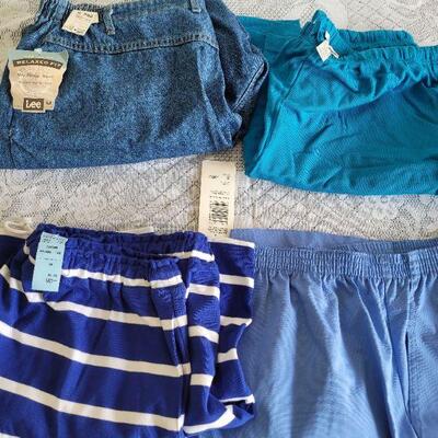 Lot 14: (4) New Ladies Shorts Lot