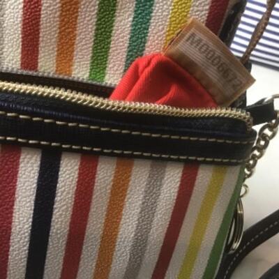 P383 New with Tag Two Piece Dooney & Bourke Multi Striped Ginger Pouchette 