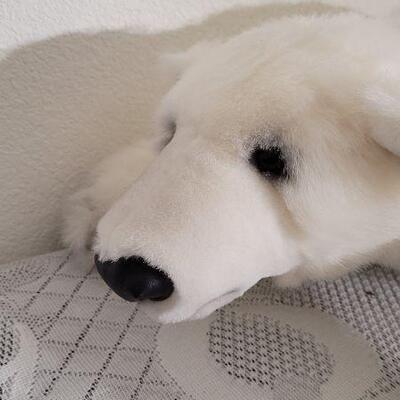 Lot 70: Vintage New SNOW Denver Zoo Plush Bear 