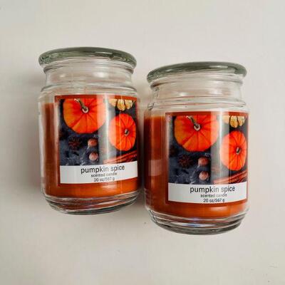 Large Pumpkin Spice Candles 2x
