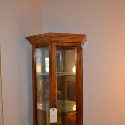 LOT 8 LIGHTED DISPLAY CABINET