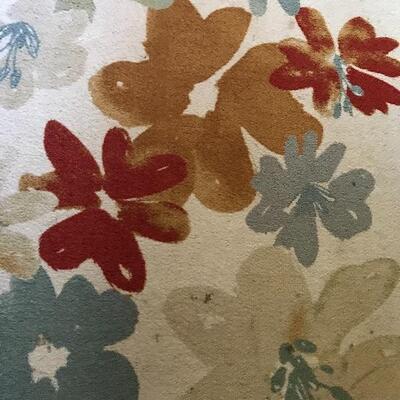 Lot 73D: 5x7 Area Rug