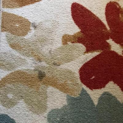 Lot 73D: 5x7 Area Rug