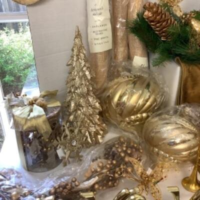 G - 806  Jester of Gold 