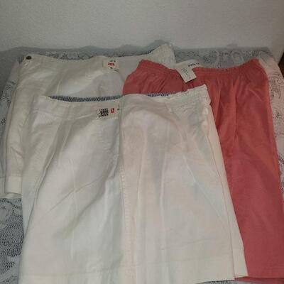 Lot 203: New Ladies Shorts Lot 