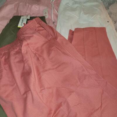 Lot 205: (4) New Ladies Shorts lot