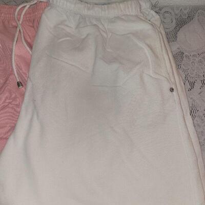 Lot 205: (4) New Ladies Shorts lot