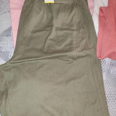 Lot 205: (4) New Ladies Shorts lot