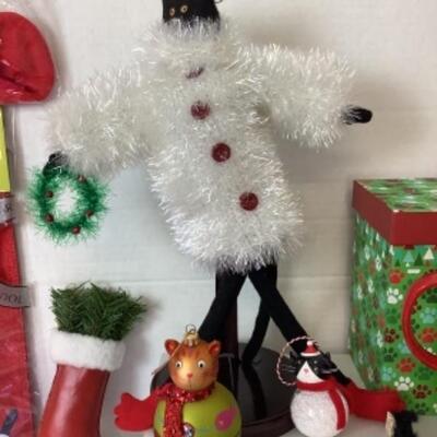 G - 809  The Cats Outta The Bag 