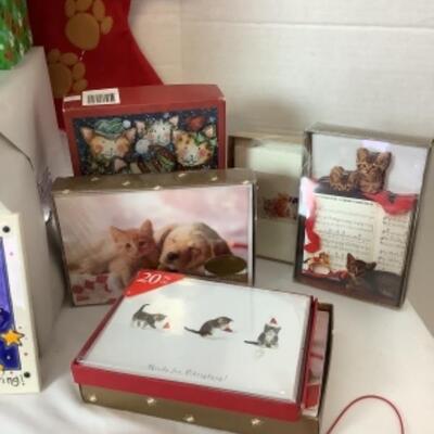 G - 809  The Cats Outta The Bag 