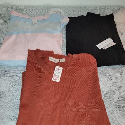 Lot 211: Ladies Shorts Sleeve Shirts