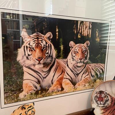 Lot 128 - Tiger Trio