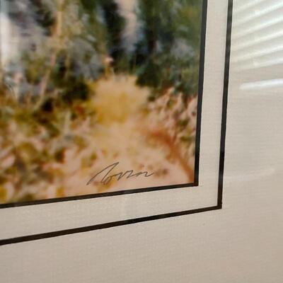 Lot 128 - Tiger Trio