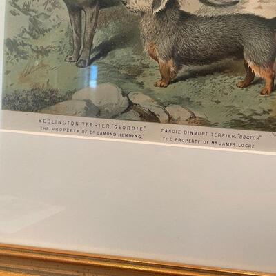 Lot 129 - Dandie Terrier Lithographs & More