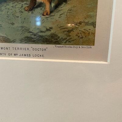 Lot 129 - Dandie Terrier Lithographs & More