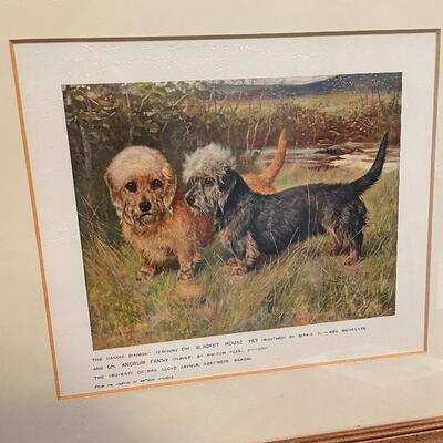 Lot 129 - Dandie Terrier Lithographs & More
