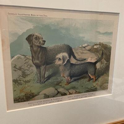 Lot 129 - Dandie Terrier Lithographs & More