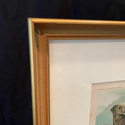 Lot 129 - Dandie Terrier Lithographs & More