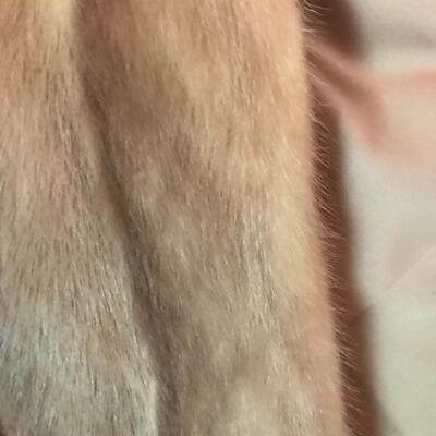 Lot 107B2:  Bamberger's Fur Stole