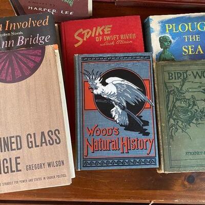 Lot MB130: Vintage Books
