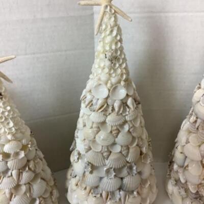 G - 817. Sea Shell Lot 