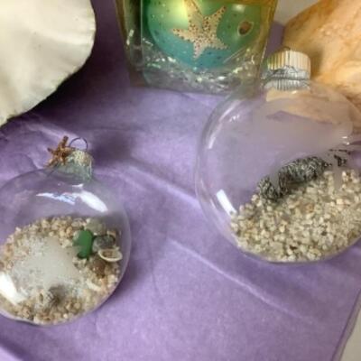 G - 817. Sea Shell Lot 