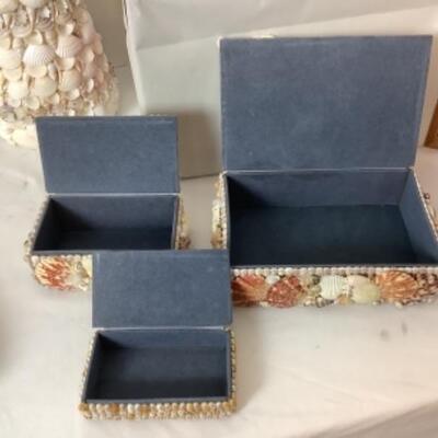 G - 817. Sea Shell Lot 