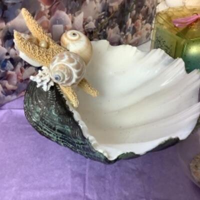G - 817. Sea Shell Lot 