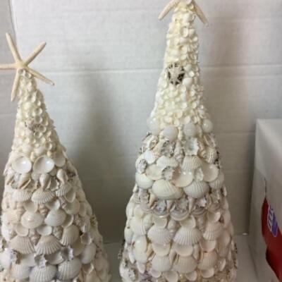 G - 817. Sea Shell Lot 