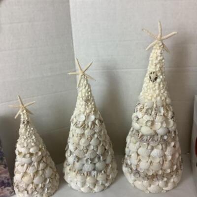 G - 817. Sea Shell Lot 