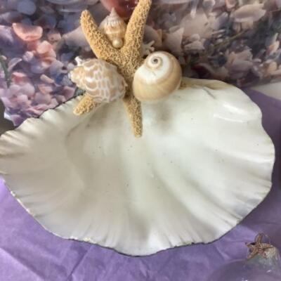 G - 817. Sea Shell Lot 
