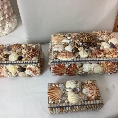 G - 817. Sea Shell Lot 