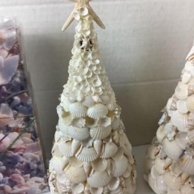 G - 817. Sea Shell Lot 