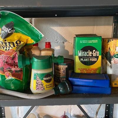Lot 309: Planting, Shelf and More