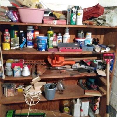 Lot 315: Ladder and Basement Treasures. 