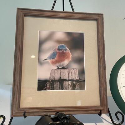 Lot 147 - Tasco Binoculars, Bird Artwork, Bird Clock Birding & More