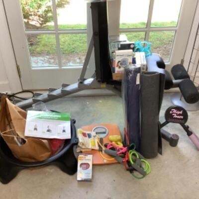 G - 838. Bowflex Select Tech 5.1 & Other Workout Accessories 