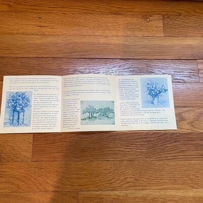 Lot 158 - Gael Baldock Floral Oil Painting 